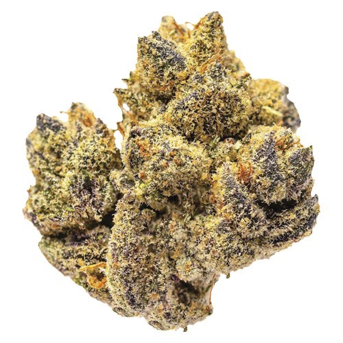Potluck - Rocky Mountain High