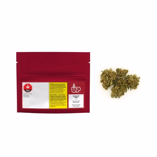 UP - Gelato 29