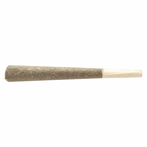 BLK MKT - Jealousy Pre-Rolls