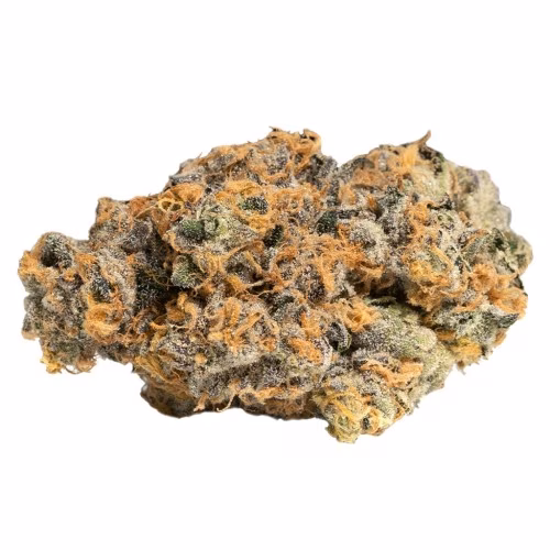 Cookies - GP20 (Smalls)