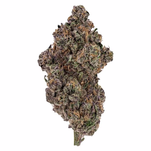 Ghost Drops - Sherbanger 22