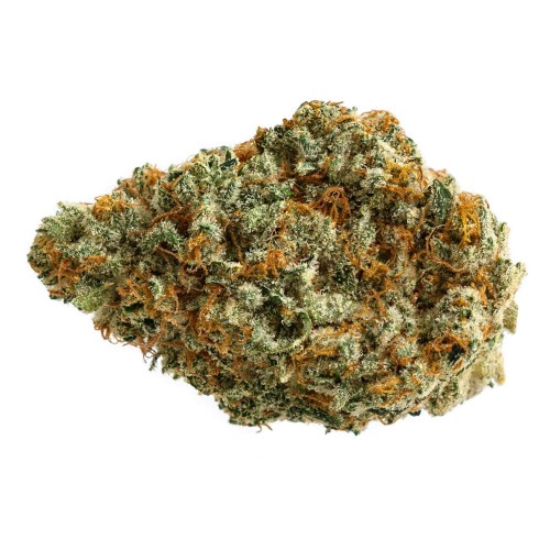 The Original Fraser Valley Weed Co. - Donny Burger