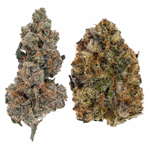 Ghost Drops - Trap Pack 14
