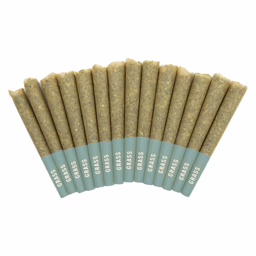 Bangerine Pre-Roll