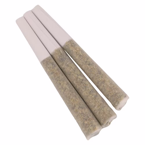 Ghost Banner Pre-Rolls (Dante's Inferno #8)