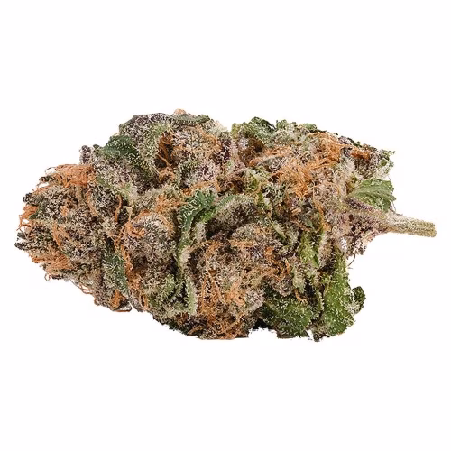 Kolab Project - 950 Series Khali Kush