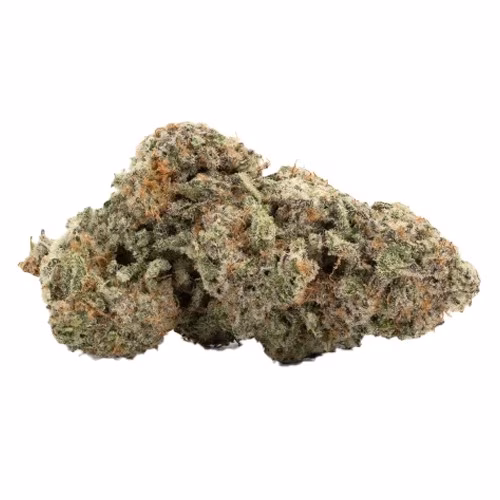 Snicklefritz - Hybrid (Animal Cookies)