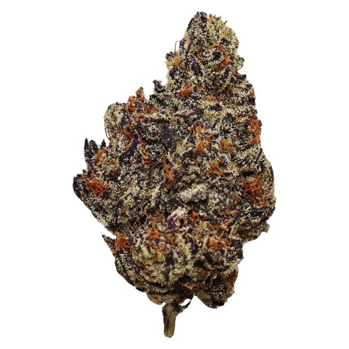 HighXotic - Batch 007