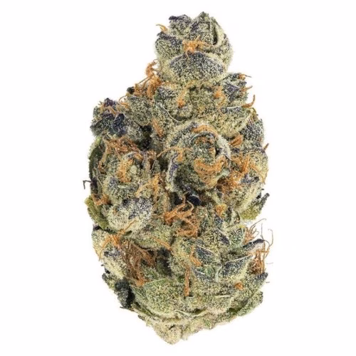 Growtown - GMO Cookies