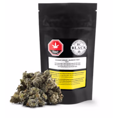 BC Black - Blueberry Frost