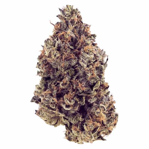Woody Nelson - Purple God Craft