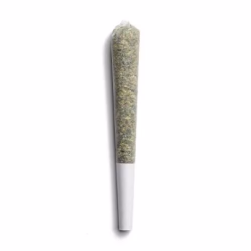 Space Race Cannabis - Falcon Heavy