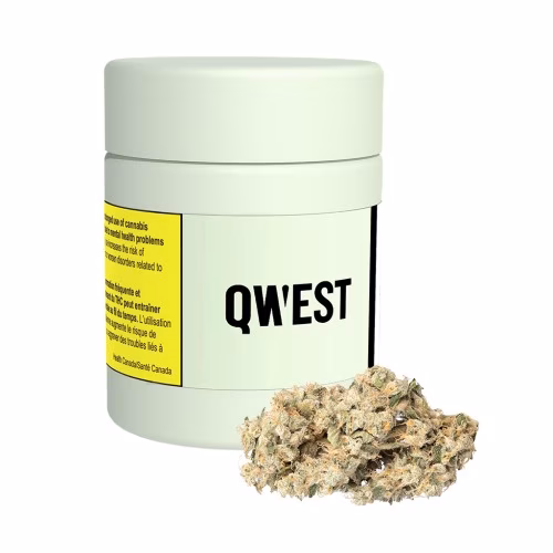 Qwest - Papaya Cake