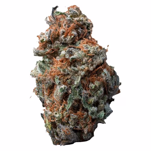 Palmetto - Sasquatch Sap