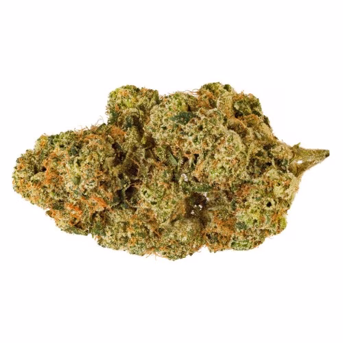 San Rafael '71 - Electric Honeydew