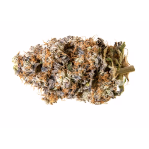BLK MKT - Cherry Punch