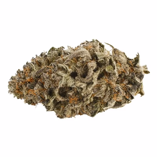 Strawberry Diesel 99 | Kawehnoke: Ken’niionhontésa Kaienkwá: