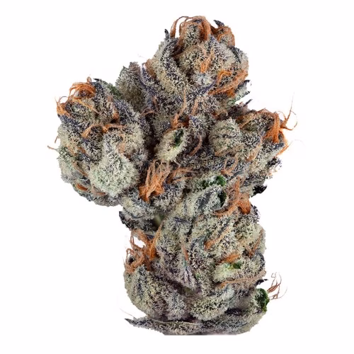 Steel City Green - Intense