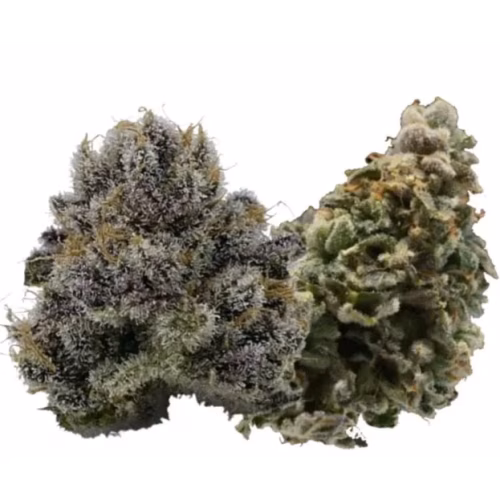 Western Cannabis - Multipack of Madness Pre-Roll
