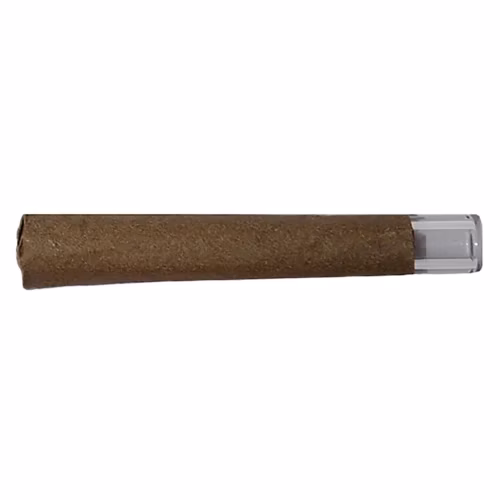 Lobo - Golden Pineapple Blunt