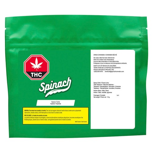 Spinach - Space Cake