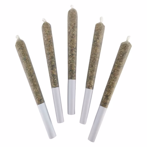BC Black - Galactica OG Pre-Roll