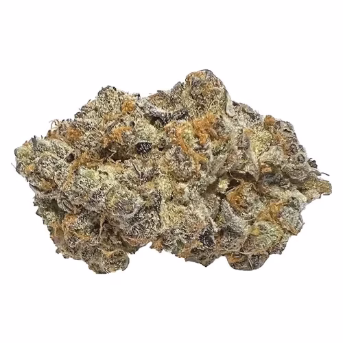 Cactus - Peachy Keen
