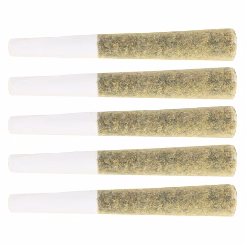 Original Dankster - Trapstar Pre-Rolls