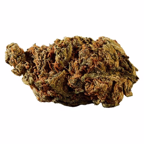 Versus - BC God Bud