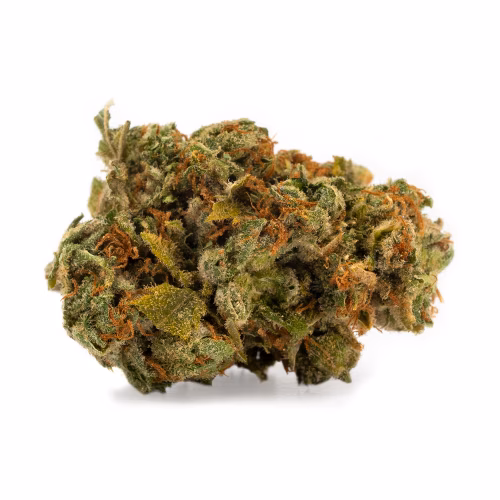 DNA Genetics - Lemon Skunk
