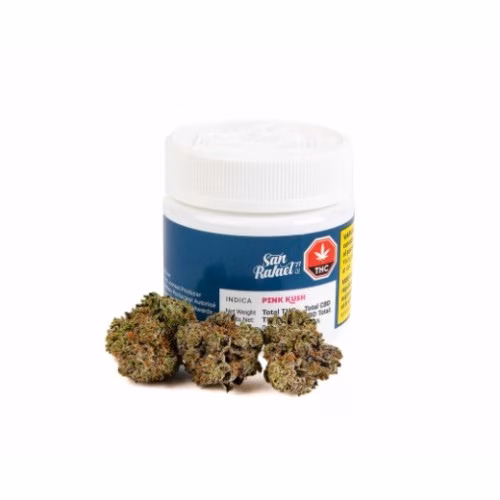 San Rafael '71 - Chemango Kush