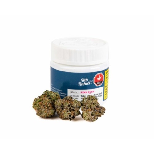 San Rafael '71 - Chemango Kush