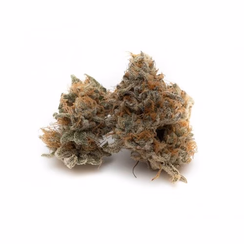 OGEN Ltd. - Bacio Punch #8