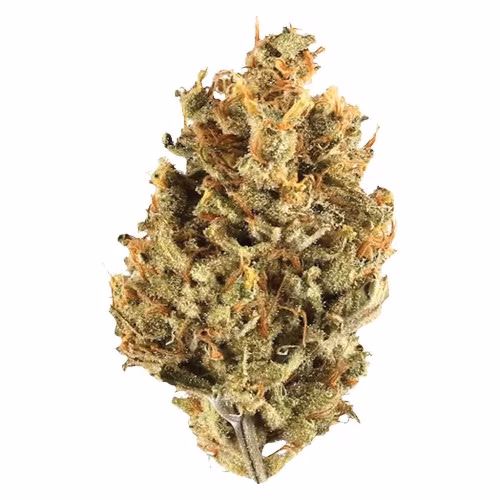 Potluck - Cranberry Cough