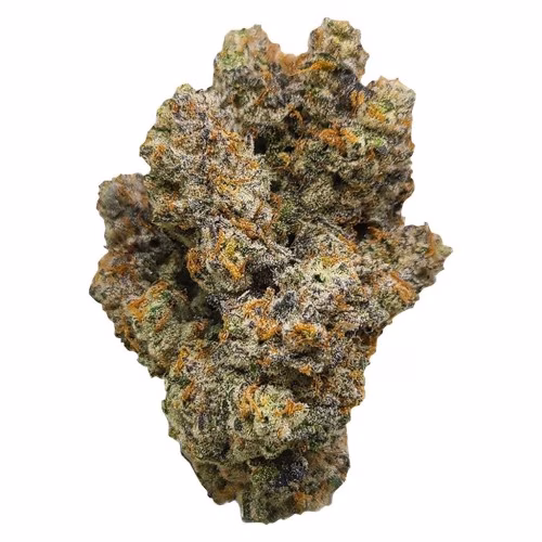 G-Wagon (Georgia Pie x Zwish)