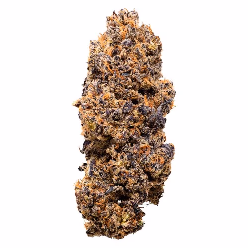 Headspace - Lemon Whips Dried Flower