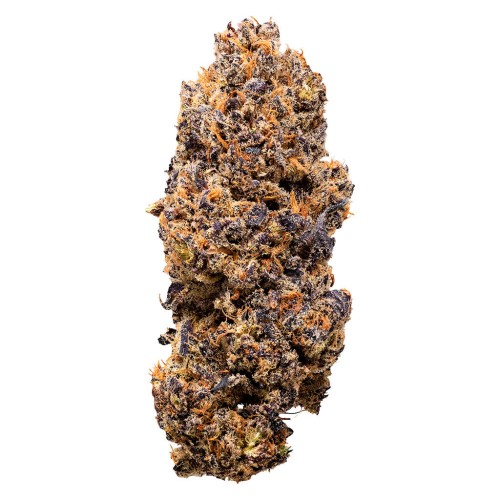 Headspace - Lemon Whips Dried Flower