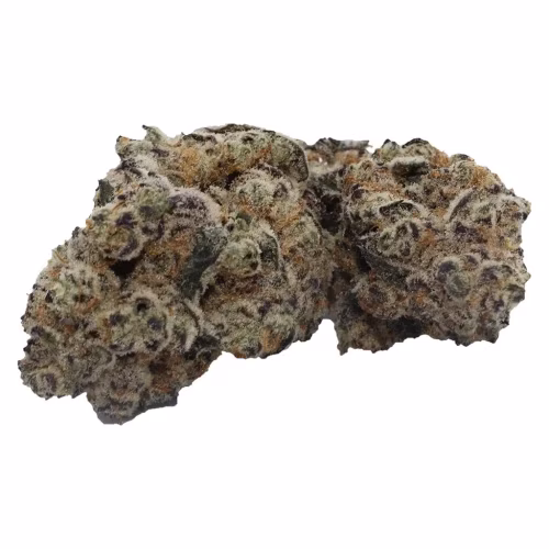 RC Supply Co. - R.C.S. Collective (Grand Daddy)