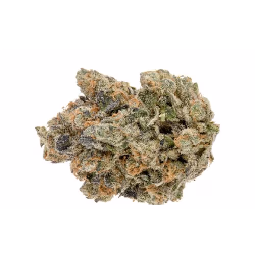 Kryptochronic