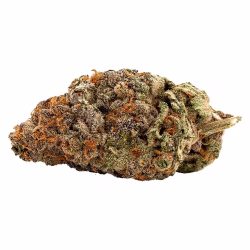 Qwest - White Walker Craft Whole Flower