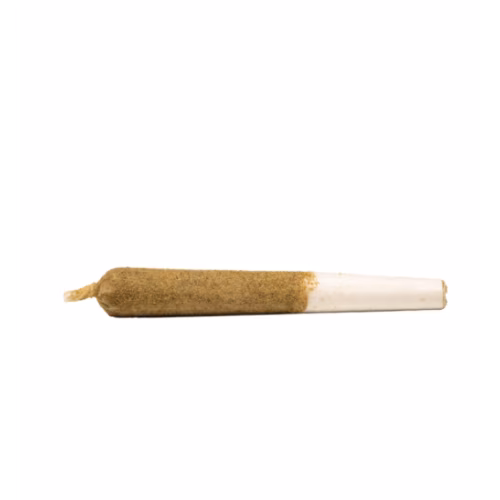 General Admission - Mango High-Chew Distillate Infused Pre-Rolls