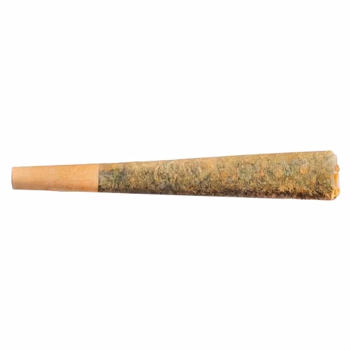Sunny Daze Sativa