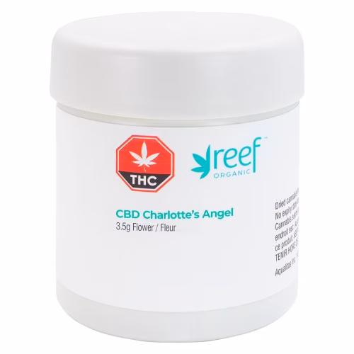 Reef Organic - CBD Charlotte's Angel