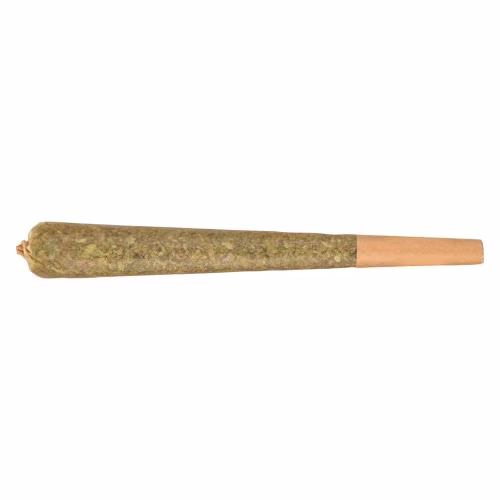 Fuego - Galactic Fire Sativa Pre-Roll