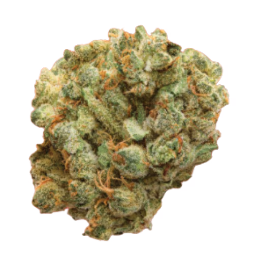Spinach - Cocoa Bomba