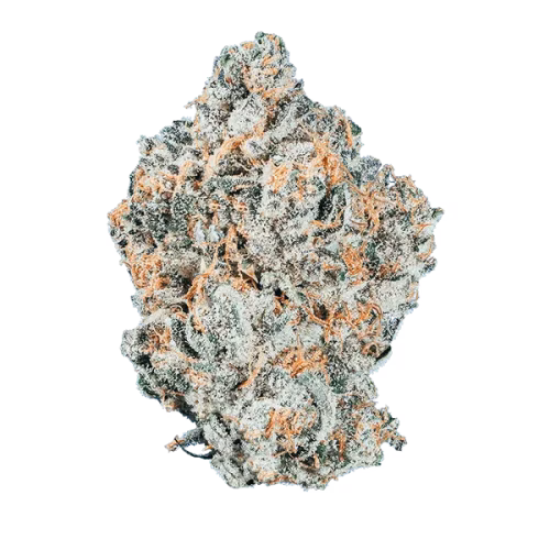 Fishers Finest - Goliath