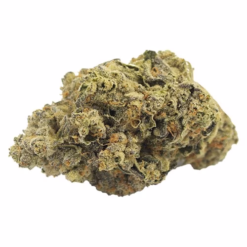Terp Town Collective - Thicc Mintz