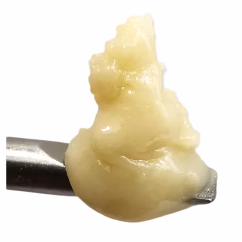 Sauce Rosin Labs - Grease Bucket Live Crème Brûlée