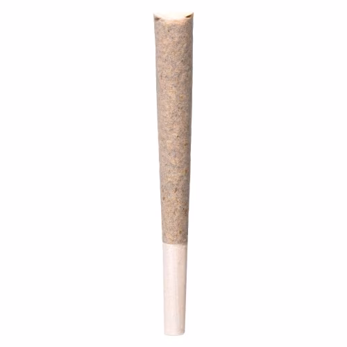 BLK MKT - BLK MLK Pre-Roll