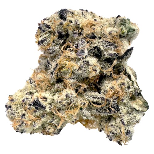 BLK MKT - Exclusives